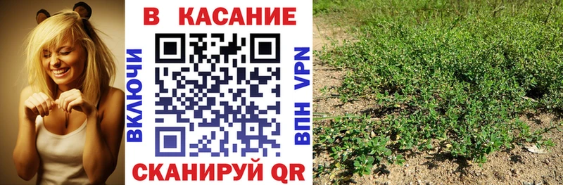 Где купить наркоту Лиски Гашиш omg зеркало COCAIN Меф мяу мяу МАРИХУАНА Бутират