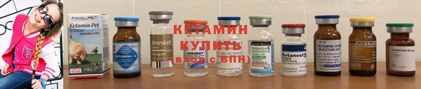 спиды Майский