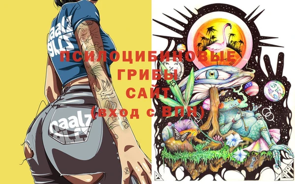 бошки Лиски