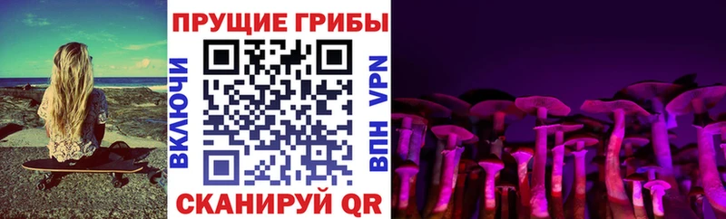 darknet какой сайт  Лиски  Галлюциногенные грибы мухоморы  где найти наркотики 