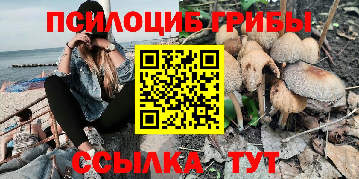 Галлюциногенные грибы Cubensis Лиски
