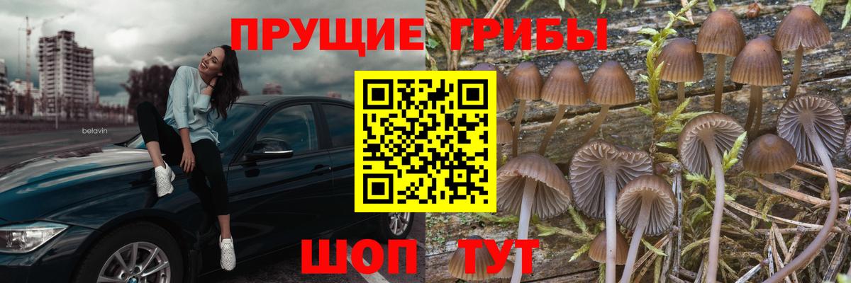Лиски  Галлюциногенные грибы мицелий  Вход с VPN 