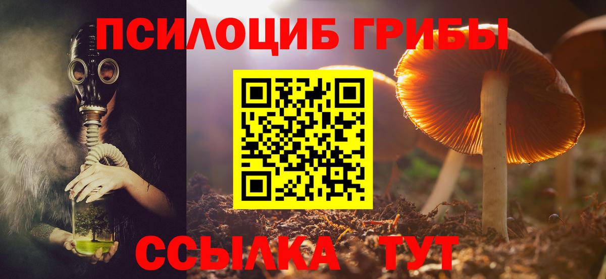 Псилоцибиновые грибы Cubensis Лиски