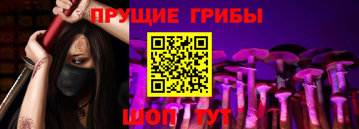 Галлюциногенные грибы Magic Shrooms  закладка  Лиски 